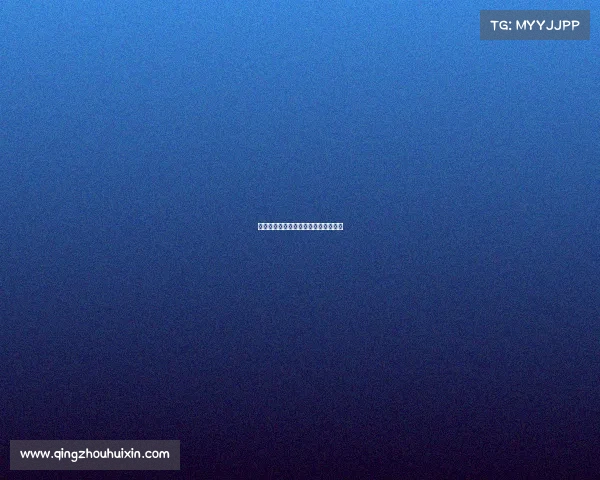 莱斯特城赛事、莱斯特城夺冠赛程比分