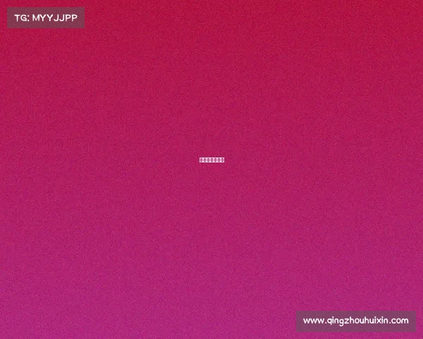 浙赛会员多少钱