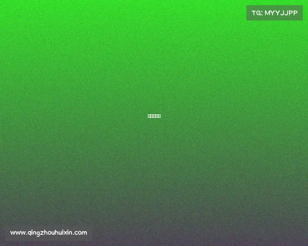 站立式格斗 站立式格斗